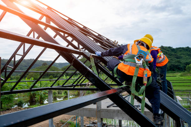 Best Metal Roofing Contractor  in Parkville, MO