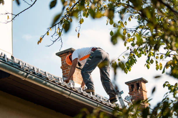 Roof Waterproofing Services in Parkville, MO