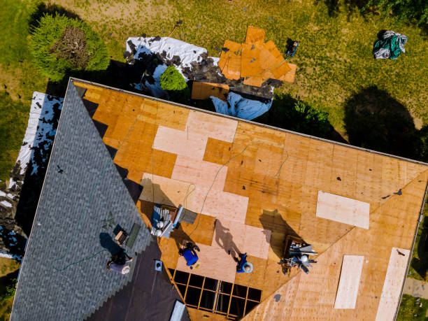 Best Roof Restoration Services  in Parkville, MO