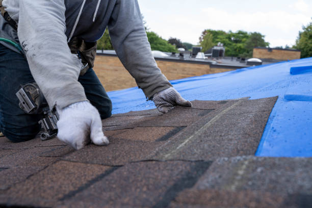 Best Roof Leak Repair  in Parkville, MO