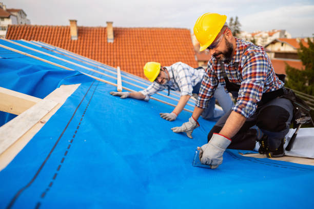 Best Commercial Roofing Services  in Parkville, MO