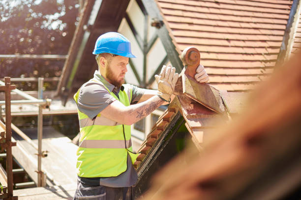 Best Roof Maintenance Services  in Parkville, MO